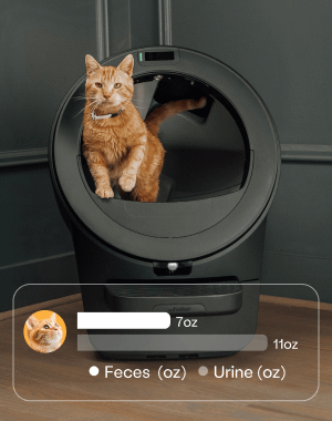 Smart freshness system