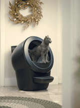 grey cat using Litter-Robot 4 with LitterHopper