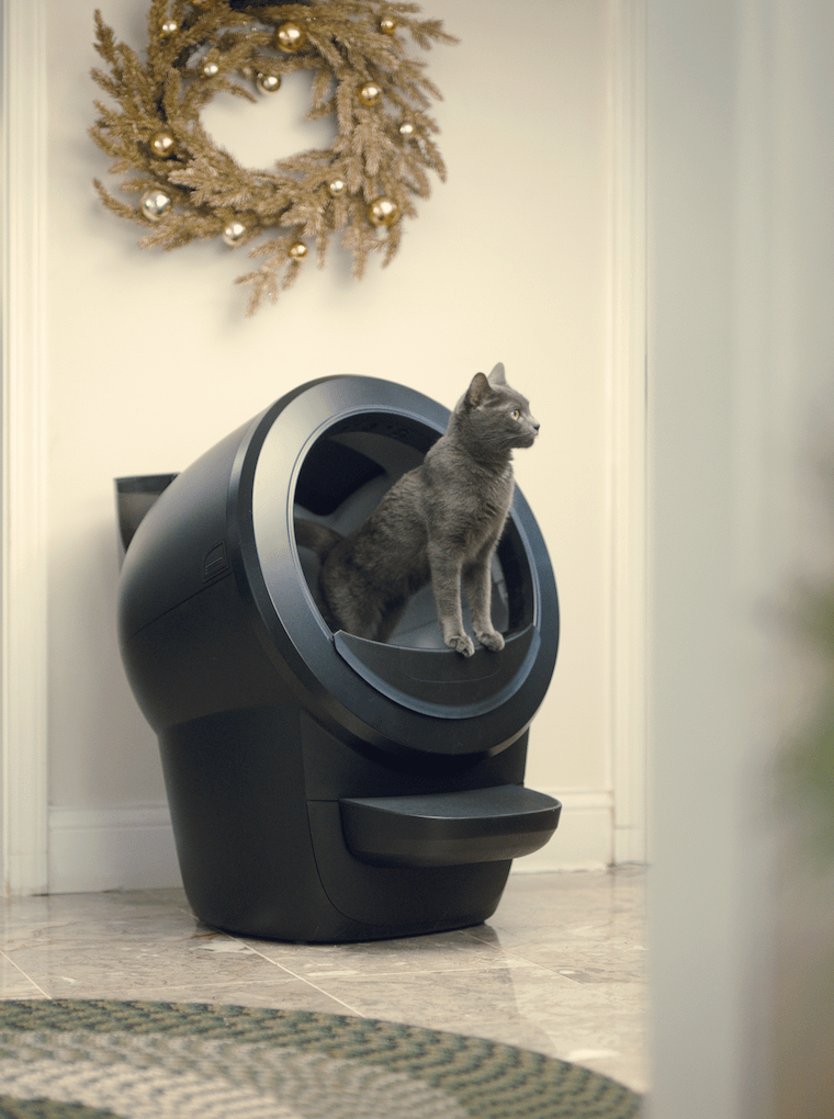 grey cat using Litter-Robot 4 with LitterHopper