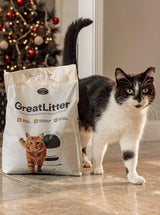 GreatLitter, the best litter for Litter-Robot next to tuxedo cat