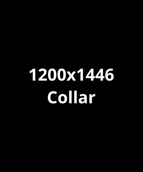Cat Collar - Black