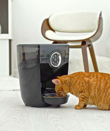 Glass Bowl on black Feeder-Robot automatic pet feeder