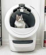 cat inside Litter-Robot 4 white equipped with camera mount