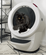 cat in White Litter-Robot 4 resting on the Carpet Tray accessory