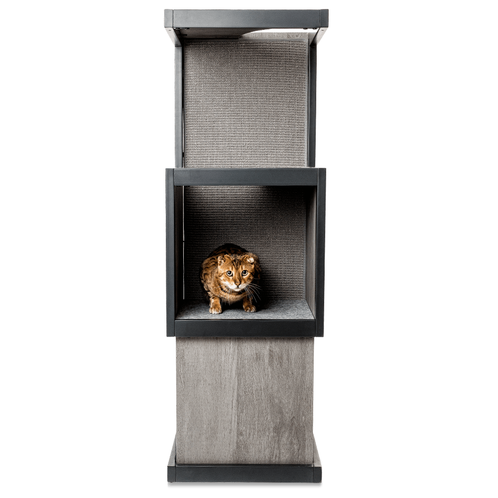 Cat Tower Woodgrain