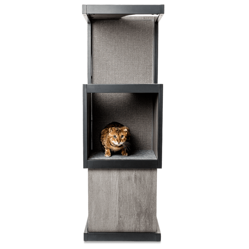 Cat Tower-Woodgrain features