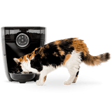 Feeder-Robot with cat