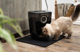Ragdoll cat with Feeder-Robot