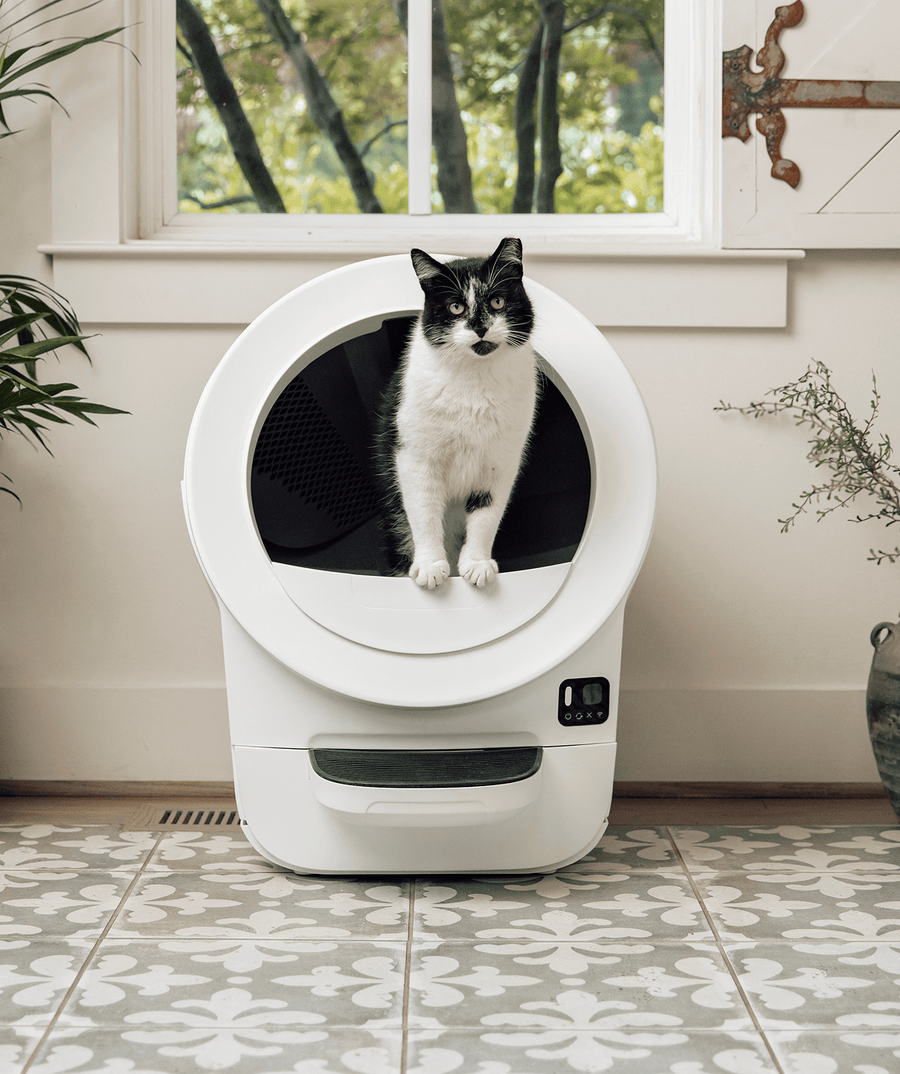 Whisker.com Litter-Robot EVO tuxedo cat