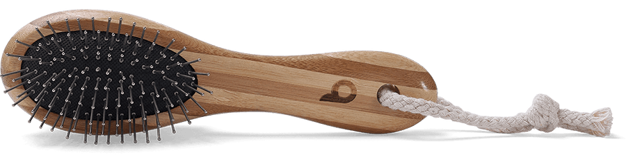 Grooming Brush | Side View | Hard