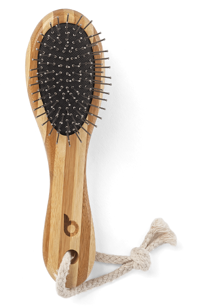 Grooming Brush | Top View | Hard