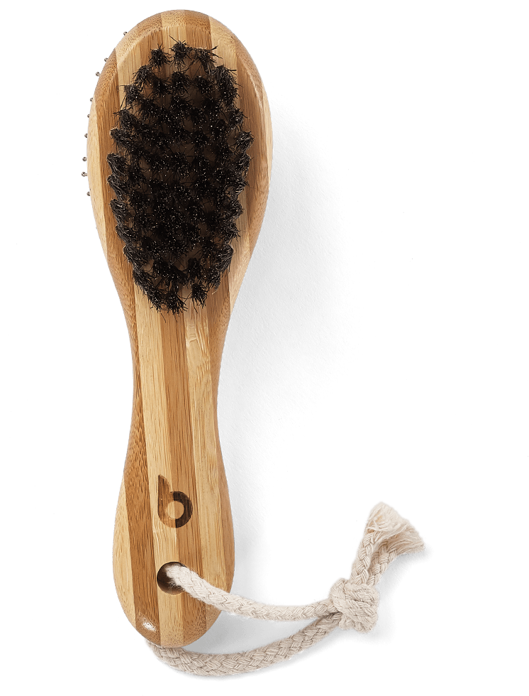 Grooming Brush | Top View | Soft