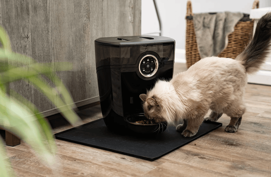 Feeder-Robot Warranty Bundle
