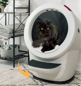 Litter-Robot 4 Carpet Tray on White Litter-Robot with Cat Inside