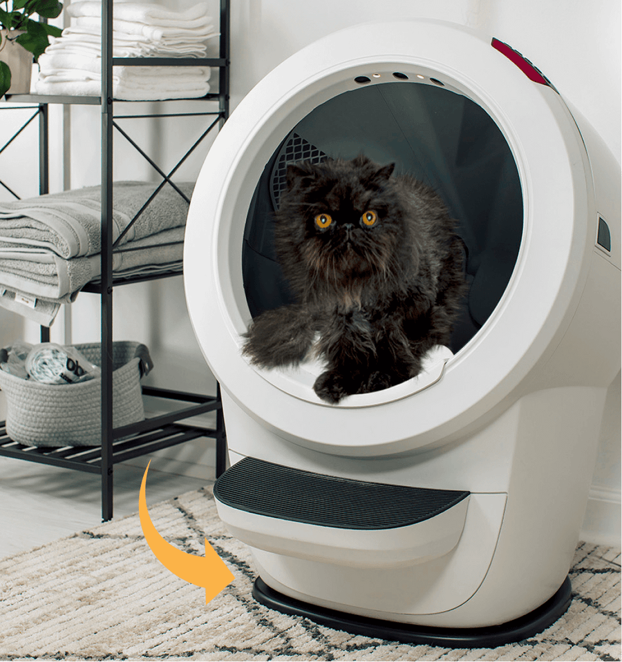 Litter-Robot 4 Carpet Tray on White Litter-Robot with Cat Inside