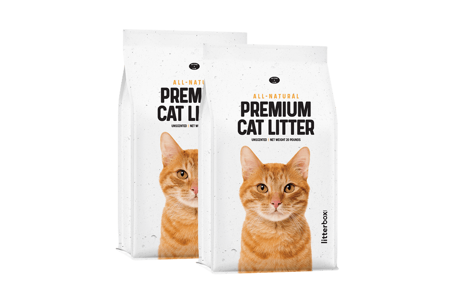 Two 20 pound bags of premium cat litter
