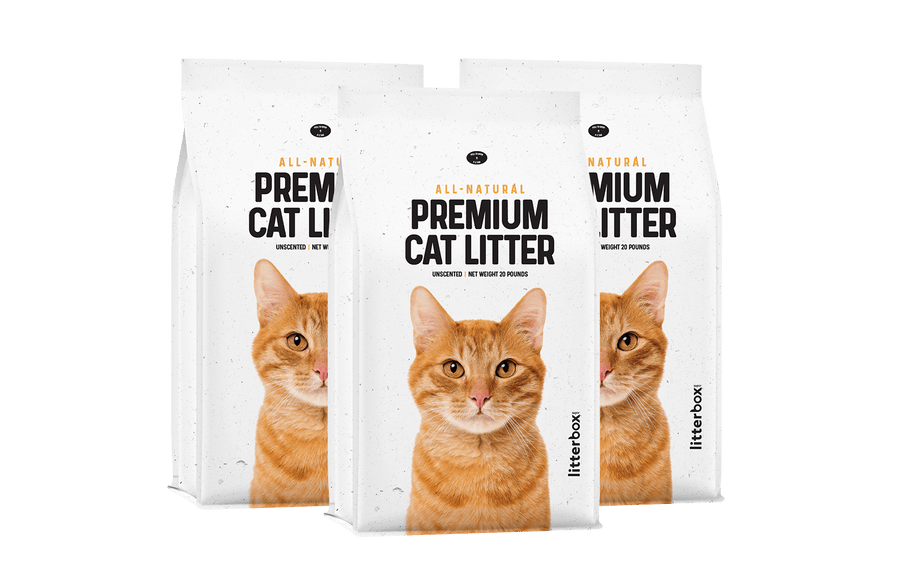 Three 20 pound bags of premium cat litter