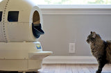 Cat looking at Litter-Robot 2 with Fence