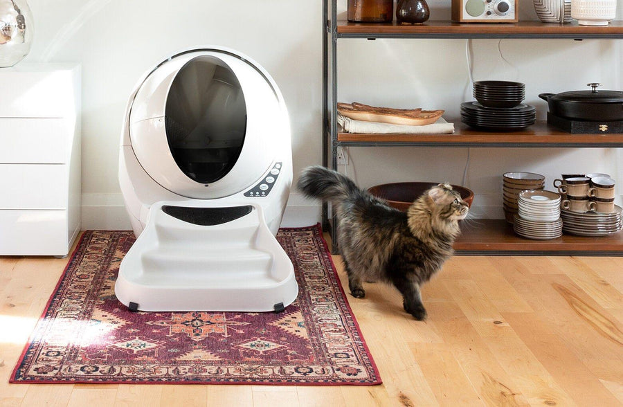 Fluffy multicolored cat walking near a Litter-Robot 3 Connect with ramp installed
