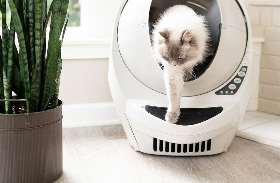 Cat exiting a Litter Robot 3, stepping onto the step mat