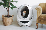 Orange cat sitting in a Litter-Robot 3, peering out the entrance