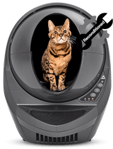 Reconditioned Litter Robot 3 Connect in Gray