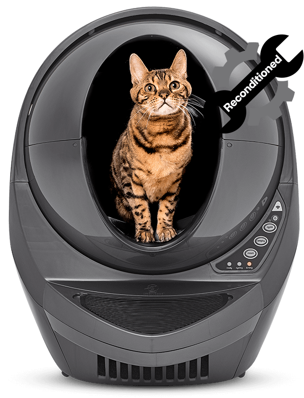 Reconditioned Litter Robot 3 Connect in Gray