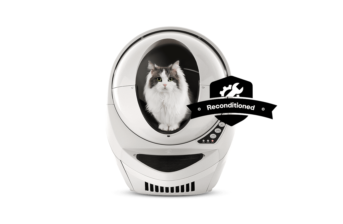 bengal cat inside beige Litter-Robot 3 Connect reconditioned