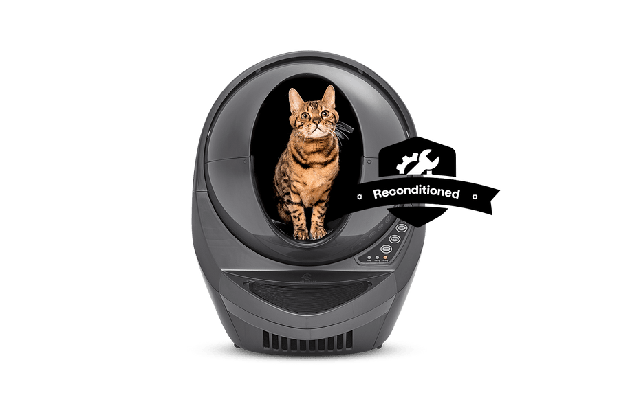 bengal cat inside grey Litter-Robot 3 Connect reconditioned