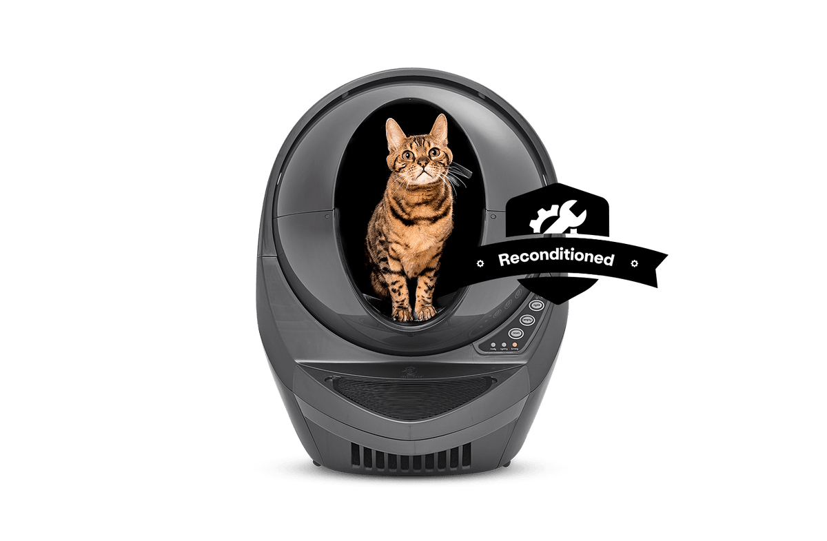 bengal cat inside grey Litter-Robot 3 Connect reconditioned