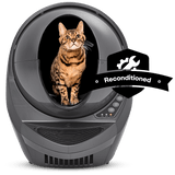 bengal cat inside grey Litter-Robot 3 Connect reconditioned