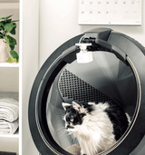 Cat in Litter-Robot 4 with Camera Mount