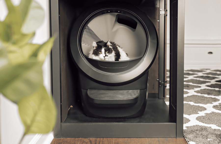 cat using Litter-Robot 4 Cabinet + Hutch Bundle