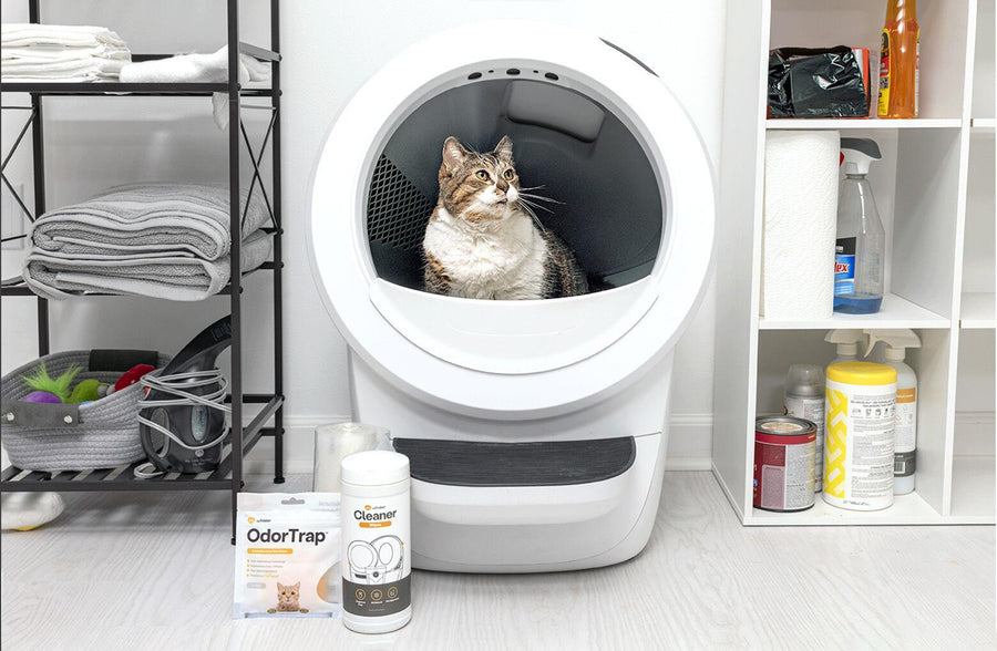 Litter-Robot 4- Reconditioned Bundle