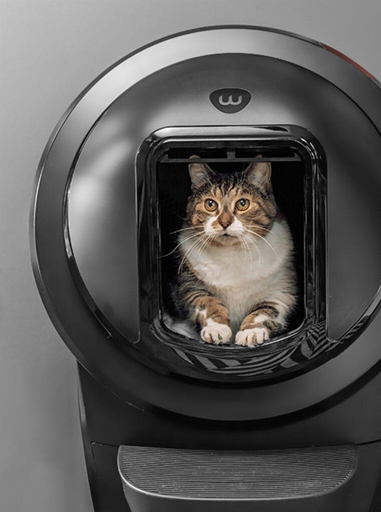 Litter-Robot 4 Shield