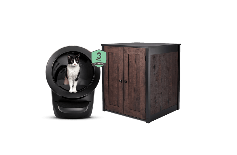 cat using Litter-Robot 4