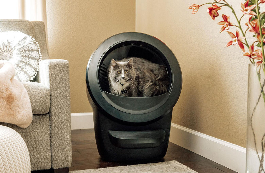 Litter-Robot 4 Cat Tower Bundle