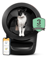 cat using Litter-Robot 4