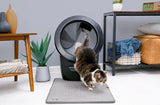 Tabby cat exiting Litter-Robot 4 onto Litter-Robot Litter Trap Mat