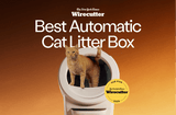 Litter-Robot 4 New York Times Wirecutter Best Automatic Cat Litter Box