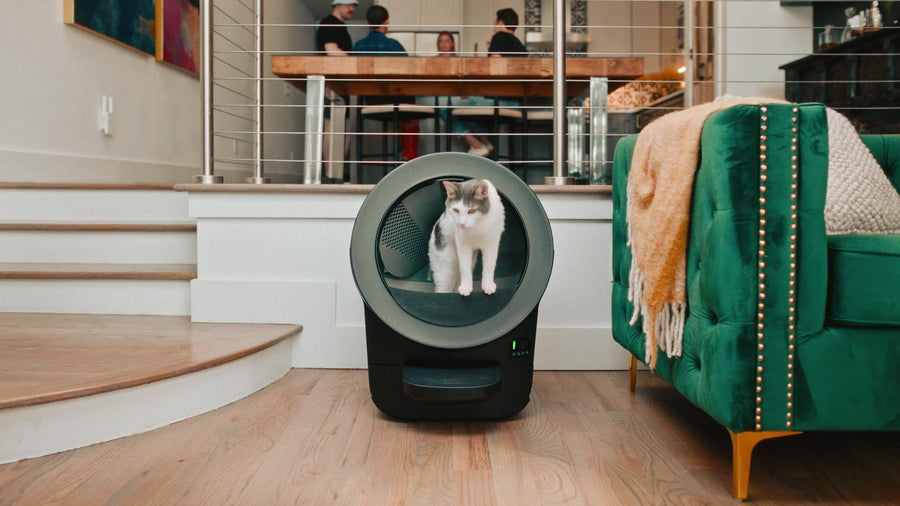 Litter-Robot® EVO HSA/FSA Bundle