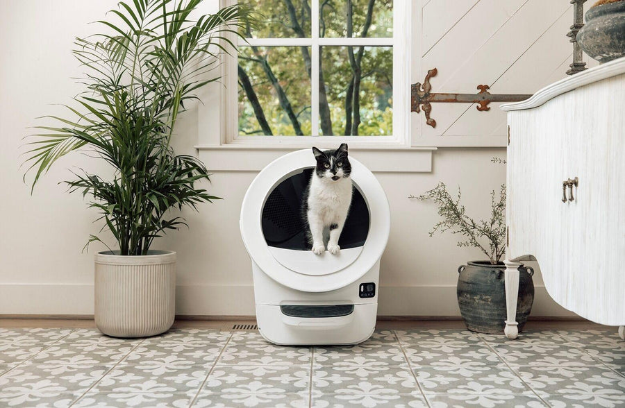 tuxedo cat with Litter-Robot EVO HSA/FSA Bundle