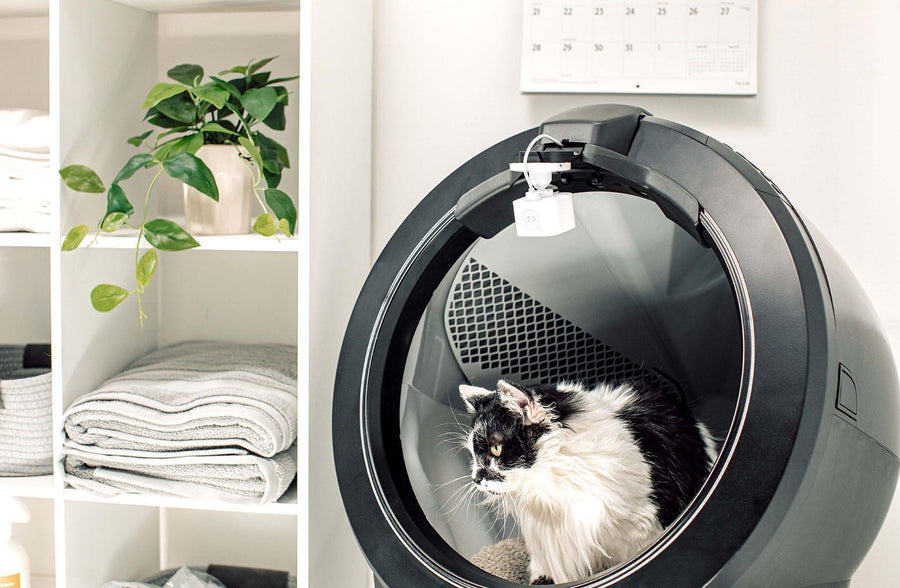 Litter-Robot 4 Camera Mount Kit