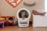 Litter-Robot® 4 Best Friends Bundle