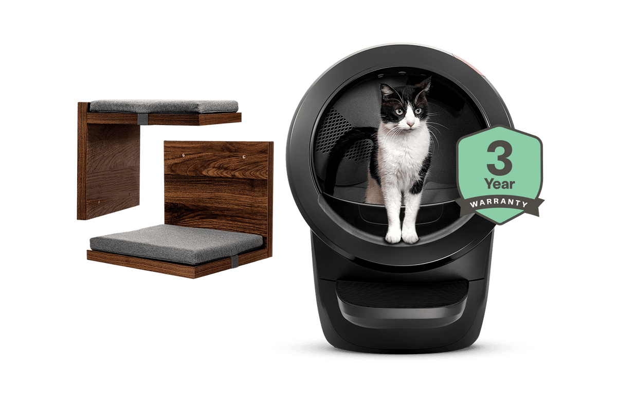 Litter-Robot 4 with cat shelf