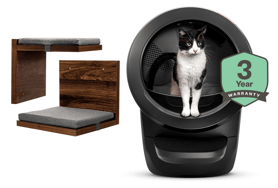 Litter-Robot 4 with cat shelf
