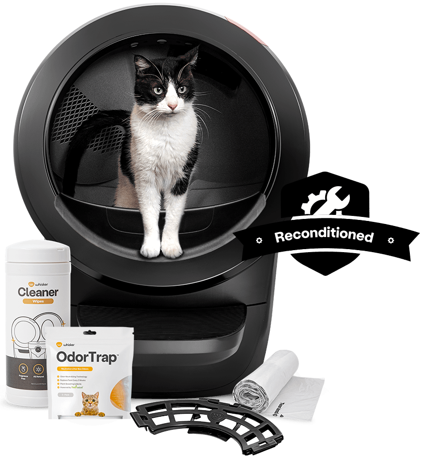 Litter-Robot 4- Reconditioned Bundle