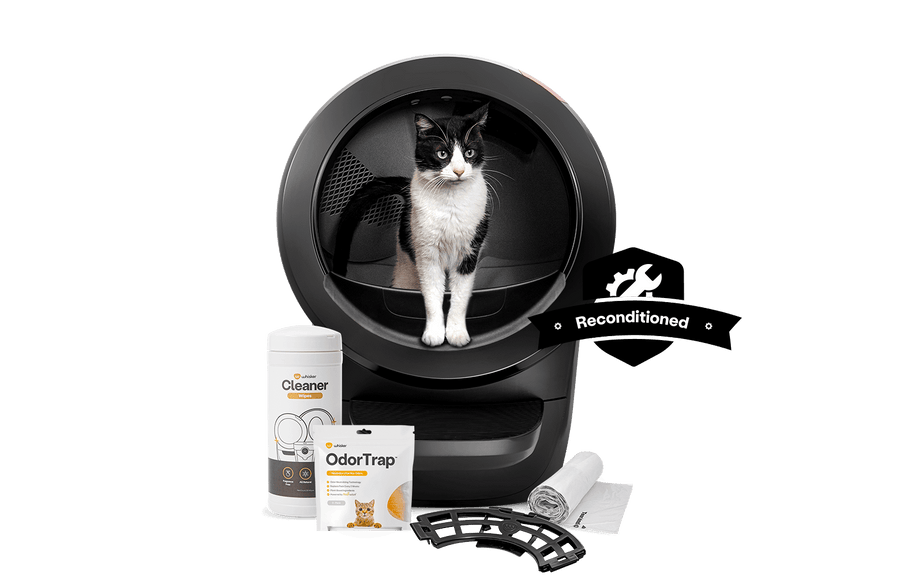 Black and White cat in an Litter-Robot 4-Reconditioned Bundle