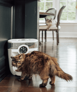 White Feeder-Robot automatic pet feeder and cat eating