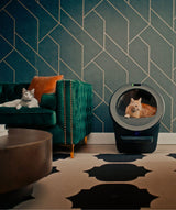 Cat using Litter-Robot 5 Pro self cleaning litter box with PetTag and cat collar